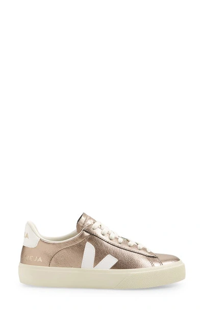 Shop Veja Campo Sneaker In Bronze White