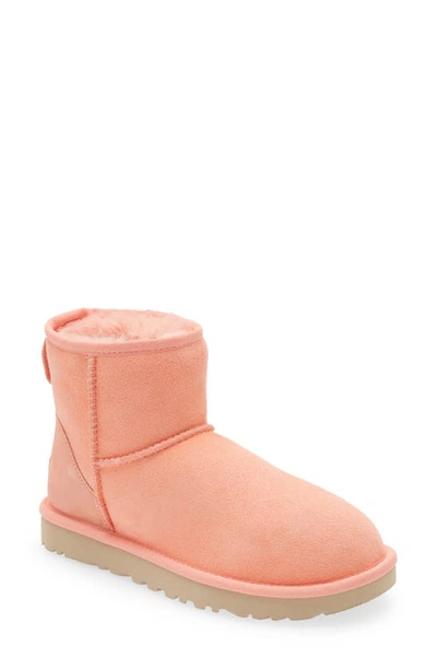 Shop Ugg Classic Mini Ii Genuine Shearling Lined Boot In Starfish Pink