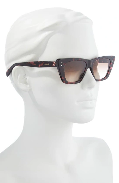 Shop Celine 51mm Cat Eye Sunglasses In Havana / Gradient Brown