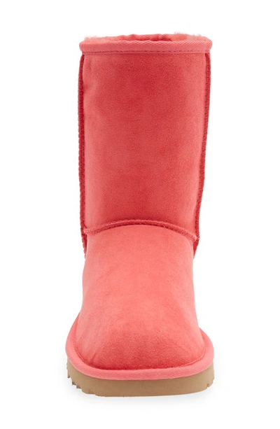 Shop Ugg Classic Ii Genuine Shearling Lined Short Boot In Nantucket Coral