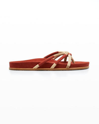 Shop Ulla Johnson Adria Tricolor Suede Thong Sandals In Henna
