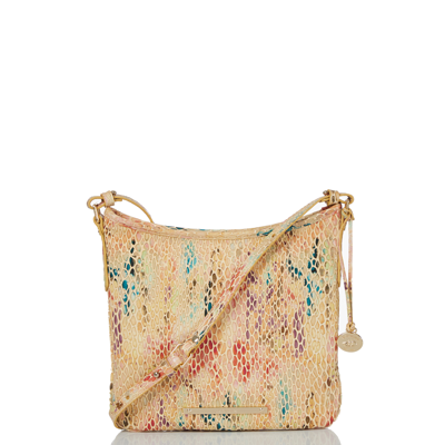 Brahmin jody clearance