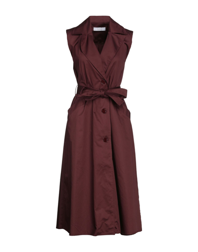 Shop Kaos Woman Midi Dress Burgundy Size 6 Cotton In Red
