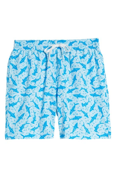 Shop Chubbies Tropicadas 7-inch Swim Trunks In Bright Blue