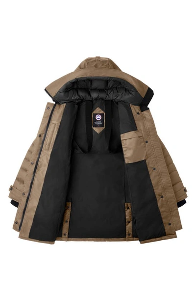 Shop Canada Goose Lorette Water Repellent 625 Fill Power Down Parka In Quicksand