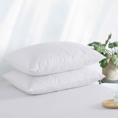 Shop Puredown Peace Nest Set Of 2 Grey Goose Down Feather Pillows In White
