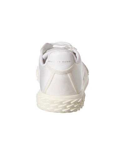 Shop Giuseppe Zanotti Blabber Canvas Sneaker In White