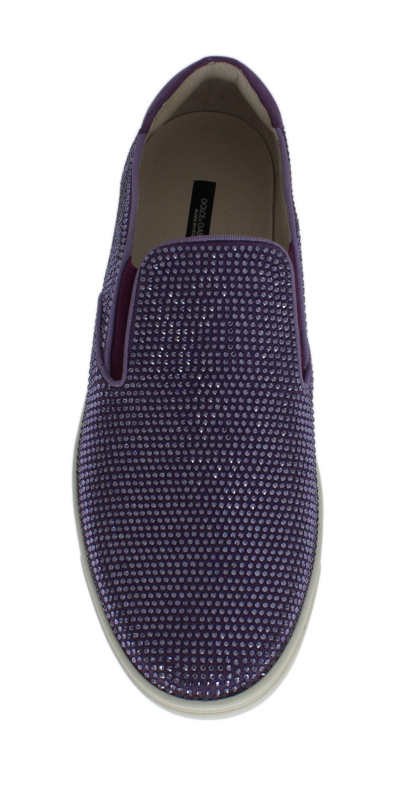 Shop Dolce & Gabbana Strass Canvas Logo Men's Sneakers In Purple