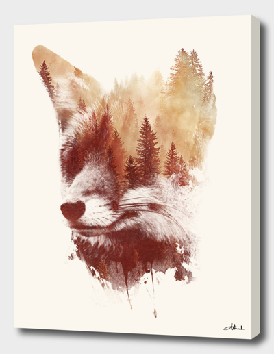 Shop Curioos Blind Fox In Red