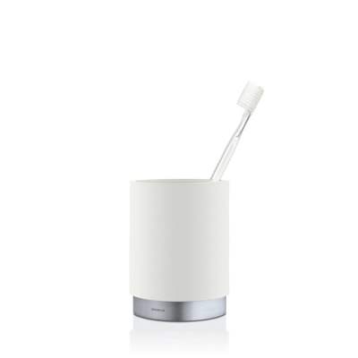 Shop Blomus 68852 Stainless Steel Matt Ara Toothbrush Mug, White