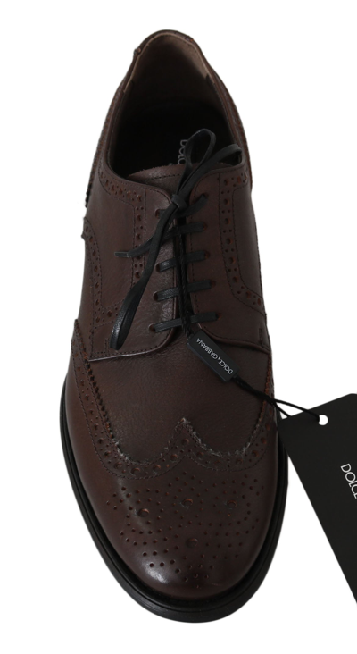 Shop Dolce & Gabbana Leather Brogue Derby Dress Men's Shoes In Brown