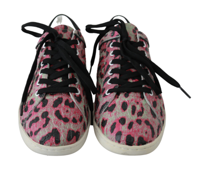 Shop Dolce & Gabbana Pink Leopard Print Training Leather Flat Women's Sneakers In Multi
