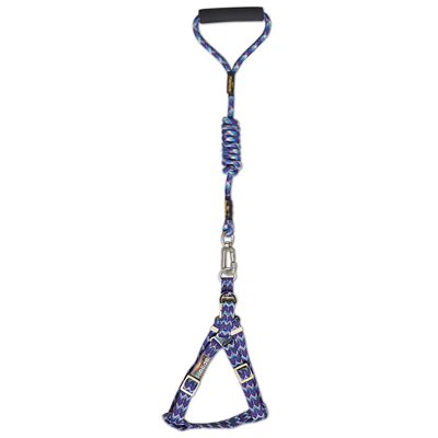 Shop Dog Helios 'surfside' Adjustable Dog Harness And Leash In Blue