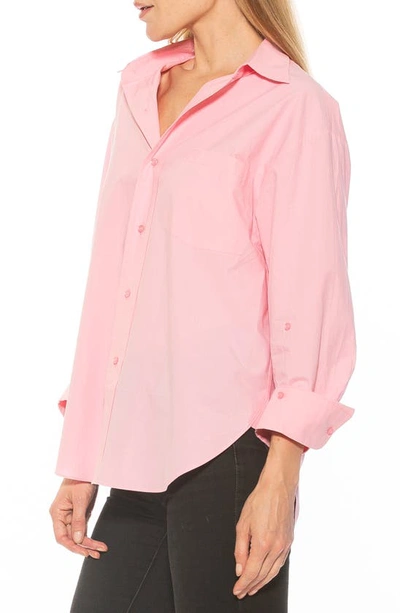 Shop Alexia Admor Amber Classic Boyfriend Fit Button-up Shirt In Pink