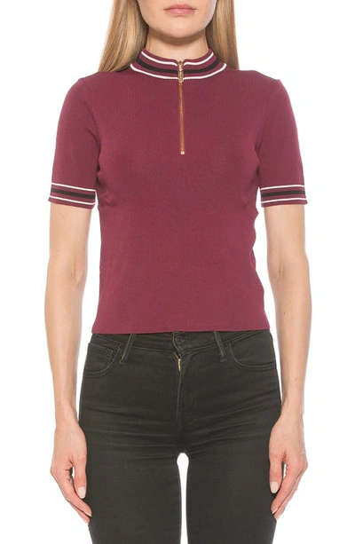 Shop Alexia Admor Phoebe Short Sleeve Turtle Neck Sweater In Burgundy