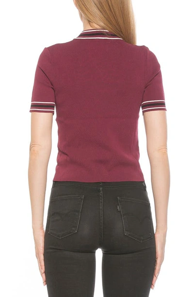 Alexia Admor Phoebe Short Sleeve Turtle Neck Sweater In Burgundy