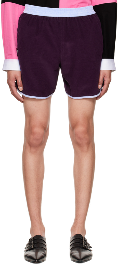 Shop Sébline Purple Running Boxer Shorts In Bordeaux / Skye Need