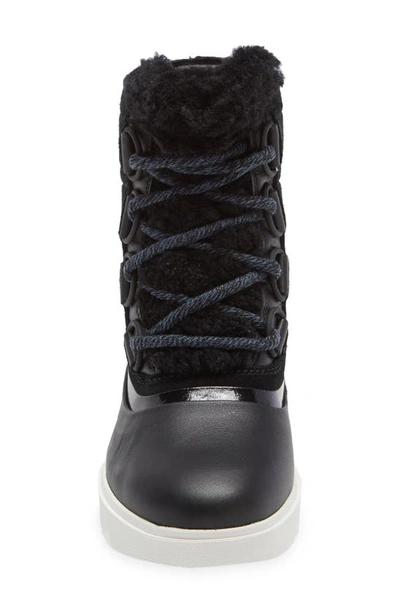 Sorel Joan Of Arctic Next Lite Waterproof Wedge Snow Boot In Black Sea Salt