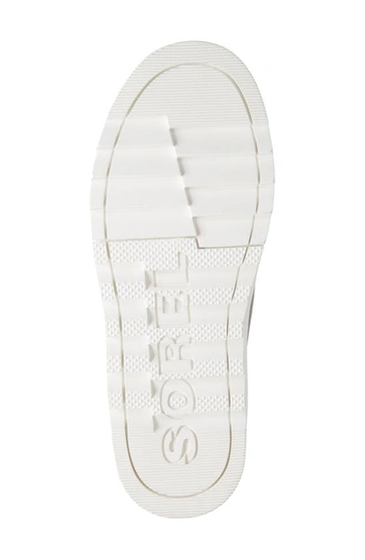 Sorel Joan Of Arctic Next Lite Waterproof Wedge Snow Boot In Black Sea Salt