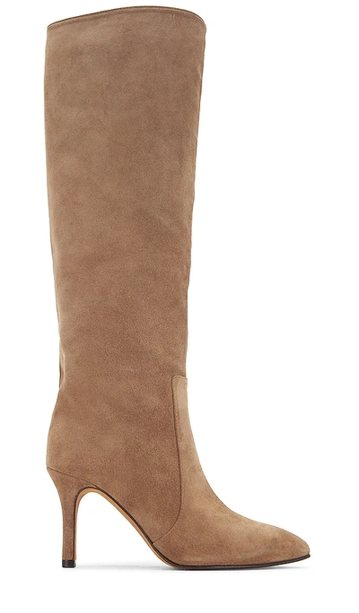 Shop Toral Suede Tall Boot In Brown