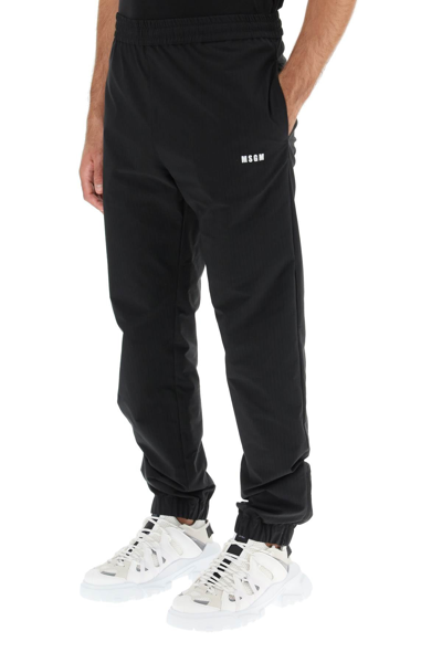 Shop Msgm Ripstop Nylon Jogger Pants In Black