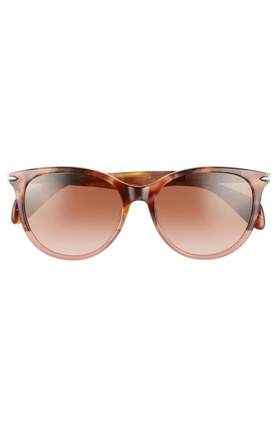 Shop Rag & Bone 54mm Round Cat Eye Sunglasses In Pink Havana
