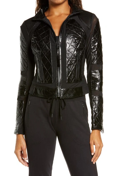 Shop Blanc Noir Quilted Snake Embossed Faux Patent Leather & Mesh Moto Jacket In Black Snake