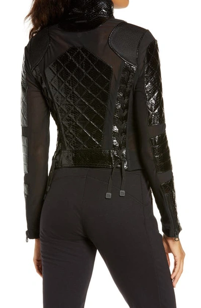 Shop Blanc Noir Quilted Snake Embossed Faux Patent Leather & Mesh Moto Jacket In Black Snake