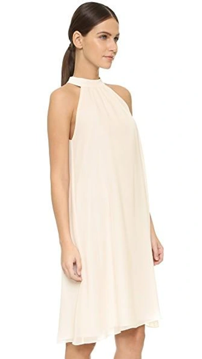 Shop Joanna August Elena Short High Neck Dress In Going To The Chapel