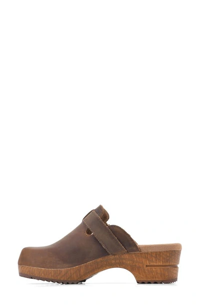 White Mountain Footwear White Mountain Behold Suede Platform Clog In Brown/ Leather