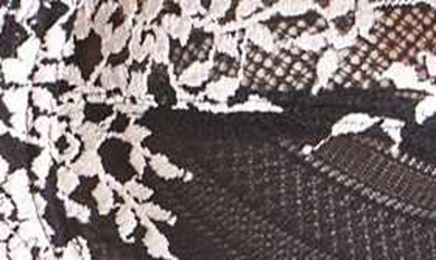 Shop Wacoal Embrace Lace Underwire Bra In Black
