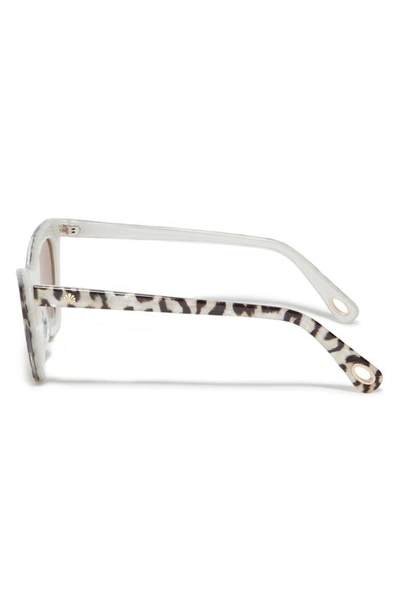 Shop Lele Sadoughi Downtown Cat Eye Sunglasses In Leopard