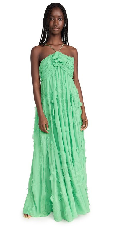 Alexis Sole Applique Halter Empire Maxi Dress In Green | ModeSens