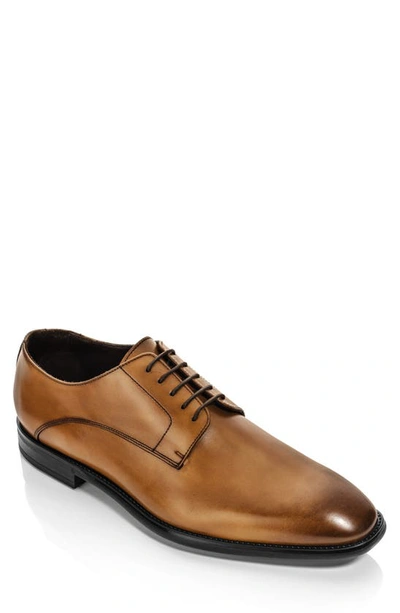 Shop To Boot New York Amedeo Derby In Crust Tabacco Ant