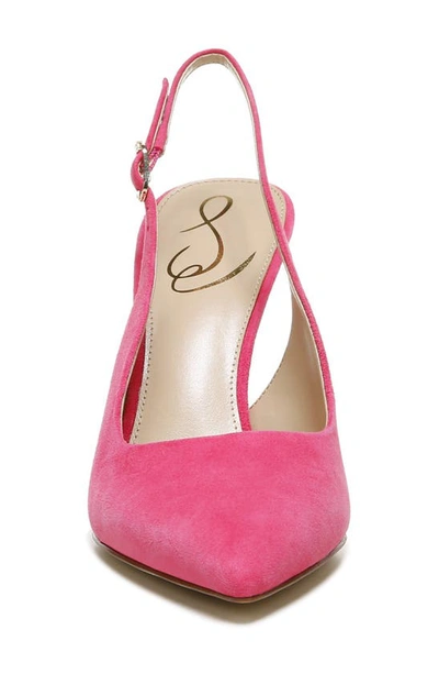 Shop Sam Edelman Hazel Slingback Pointed Toe Pump In Dahlia Pink
