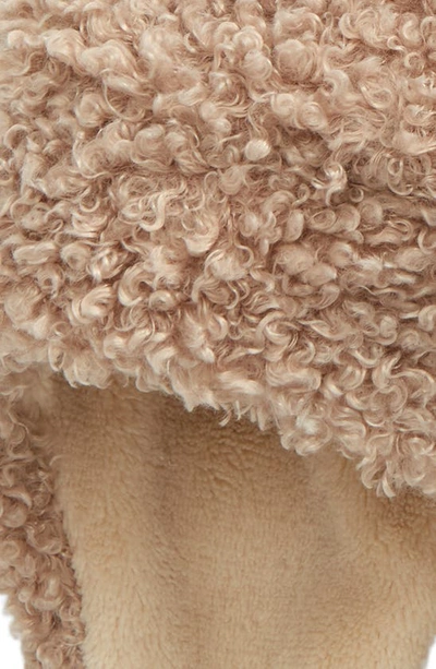 7 A.m. Enfant The Cub Teddy Hat In Oatmeal Teddy