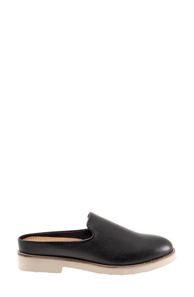 Softwalk Women's Wolcott Clog Women's Shoes In Black Leather