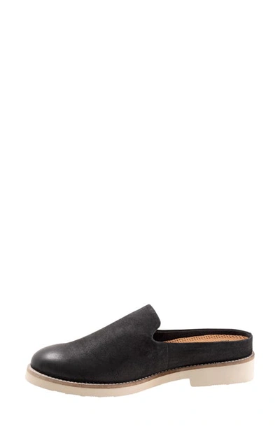 Softwalk Wolcott Ii Mule In Black Nubuck