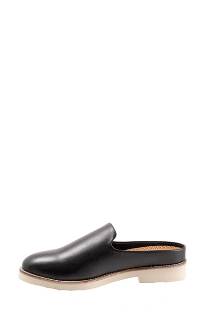 Softwalk Women's Wolcott Clog Women's Shoes In Black Leather