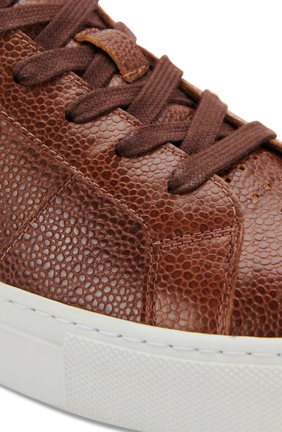 Shop Greats Royale Pebbled Leather Sneaker In Dark Brown