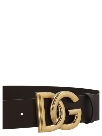 Shop Dolce & Gabbana Logo Belt In Brown