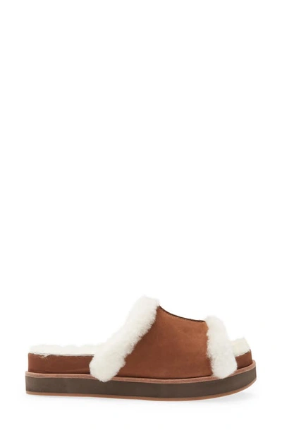 Shop Chocolat Blu Bobby Genuine Shearling Slide Sandal In Brown Nubuck