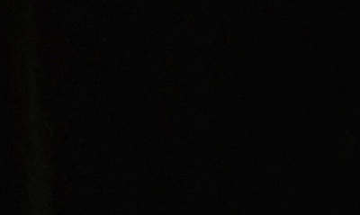 Alex Evenings Petites Womens Velvet Pull On Pants In Black