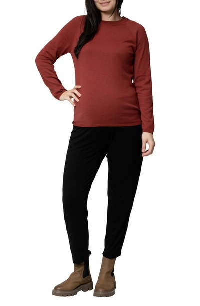 Shop Nom Maternity Nina Long Sleeve Maternity Sweater In Cinnamon