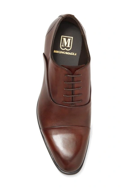 Shop Bruno Magli Mario Leather Oxford In Rust