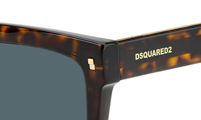 Shop Dsquared2 54mm Flat Top Sunglasses In Havana / Blue