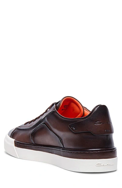 Shop Santoni Low Top Sneaker In Dark Brown