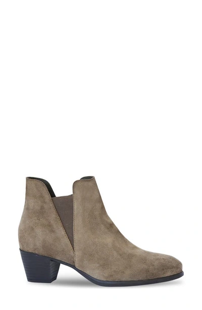 Shop Munro Jackson Chelsea Boot In Sesame Suede