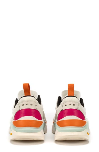 Shop Brandblack Saga Sneaker In White Orange Blue