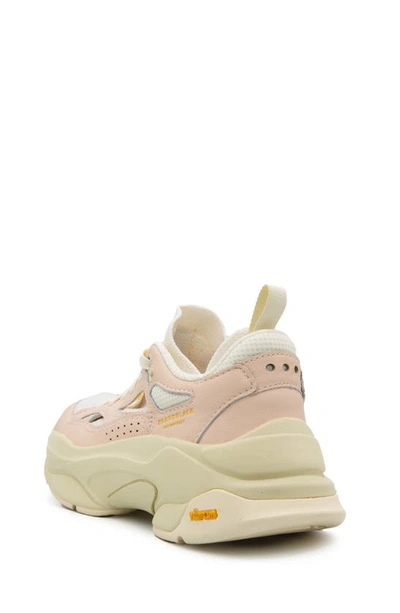 Shop Brandblack Saga Sneaker In White Pink
